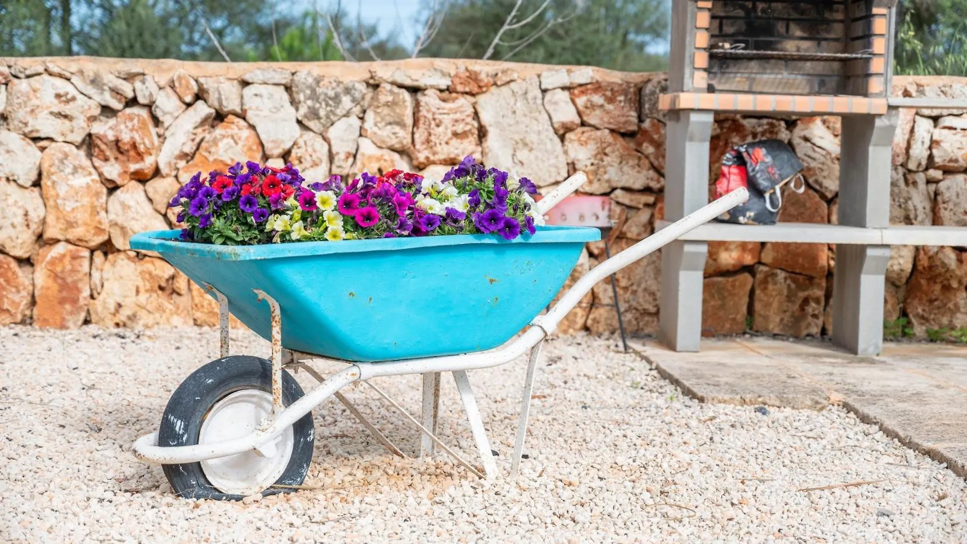 Villa Ses Oliveres Campos